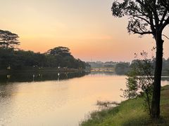 -东莞植物园