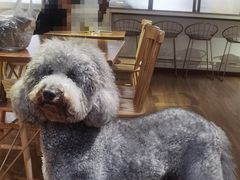 -沏点Trattoria意大利餐厅(新街口店)