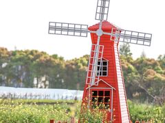 -美家乐农庄·露营·团建(大治路店)