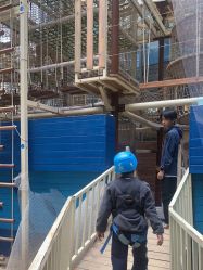 -PIPIKINGDOM皮皮王国欢乐号(欢乐海岸购物中心店)