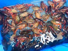 -富临港·蒸汽海鲜·手抓海鲜·炒菜(栈桥店)