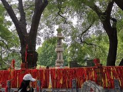 -大槐树寻根祭祖园