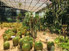 -广东茂名森林公园