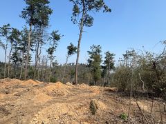 -青龙山国家森林公园