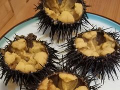 -海胆小馆(东北水饺·春柳店)