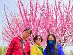 -永定河休闲森林公园