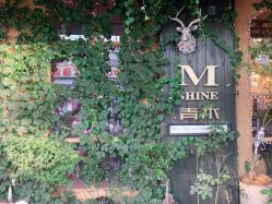 -青木造型HAIR·あおき髪を刈る潮人店