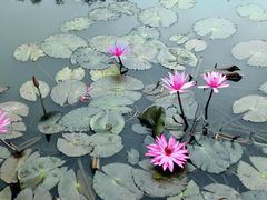 -白沙门生态公园
