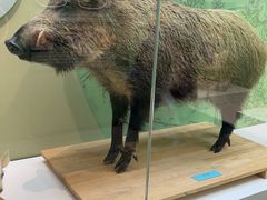 -国家自然博物馆