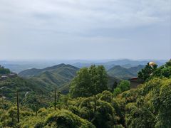 -莫干山风景区