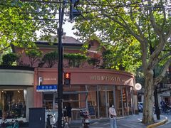 -WHEN PIGS FLY当猪飞
