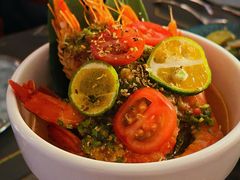 -Hi City·城市之巅