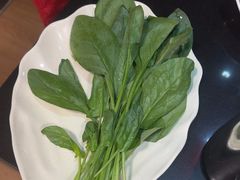 -芦月轩羊蝎子(劲松店)