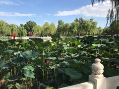 -丰台花园