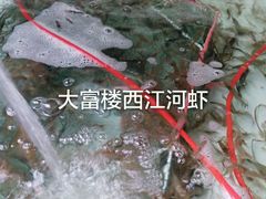 -八仔大富楼·河鲜(西江店)