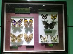 -上海昆虫博物馆