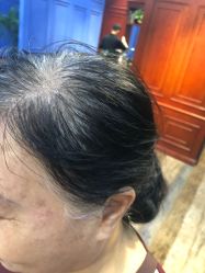 -东晨宝格丽品质造型