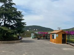 -苏州太湖西山岛开心农场