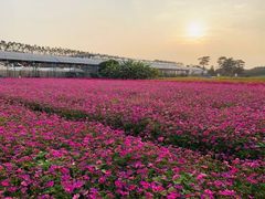 -迪茵湖田家舍生态农场