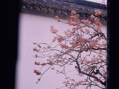 -拙政园