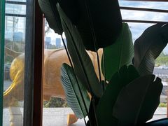 -阿斯牛牛·凉山菜(新会展店)