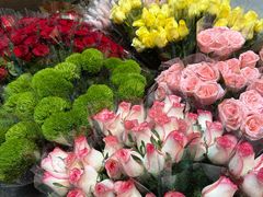 -循礼门鲜花花市(武汉循礼门店)