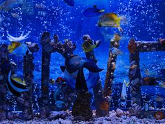 -太平洋海底世界