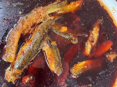 -正兴岷江春泥鳅