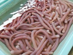 -南沙十九涌渔人码头-南门