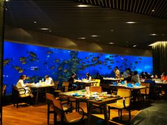 大堂-海棠湾洲际-涛·海底餐厅·美人鱼·自助餐·海底隧道