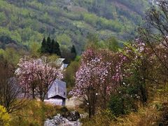 -九皇山景区