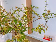 -Onirii Coffee(长乐路店)