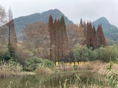 -贵阳市花溪国家城市湿地公园