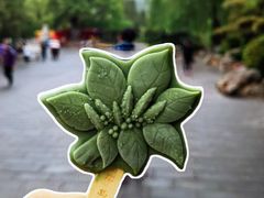 -八大处公园