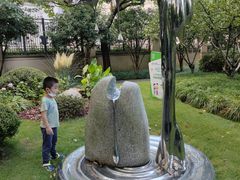 -陈家山荷花公园