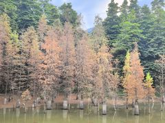 -广州市帽峰山景区