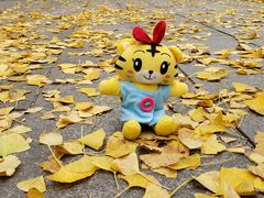 -百林公园-两江幸福广场