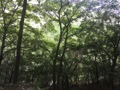 -云梦山