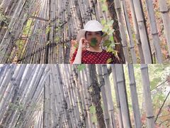 -长白岛森林公园