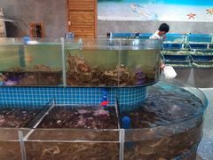水产区-蓝珊甄选海鲜自助·火锅大排档(近阿那亚店)