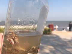 -刘家湾赶海园