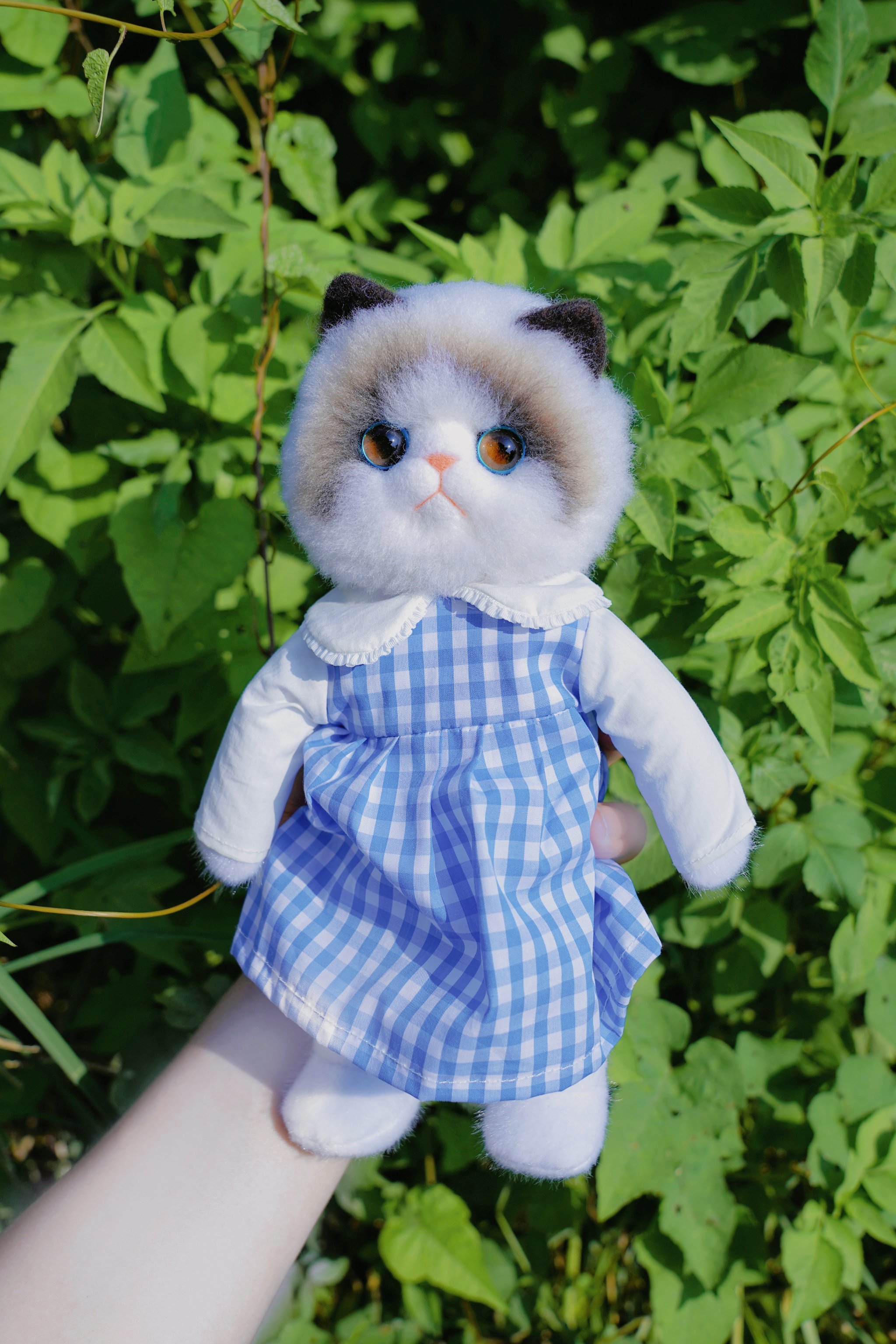 看我家小猫水灵灵的正脸👻