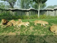 -北京野生动物园