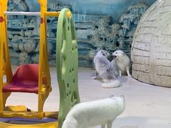 -华夏文旅海洋公园