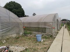 -洪湖家庭农场·团建·露营·会议
