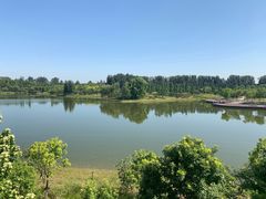 -东郊湿地公园