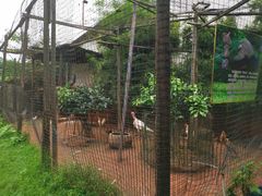 -柴米油盐(土菜院子店)