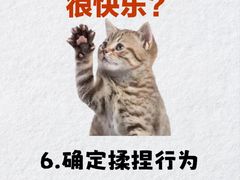 -荔康动物医院(康王北路店)