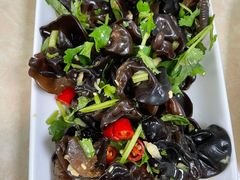 -墨脱石锅椰子鸡•香草鸭•东山羊(大东海店)