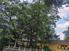 -南华禅寺